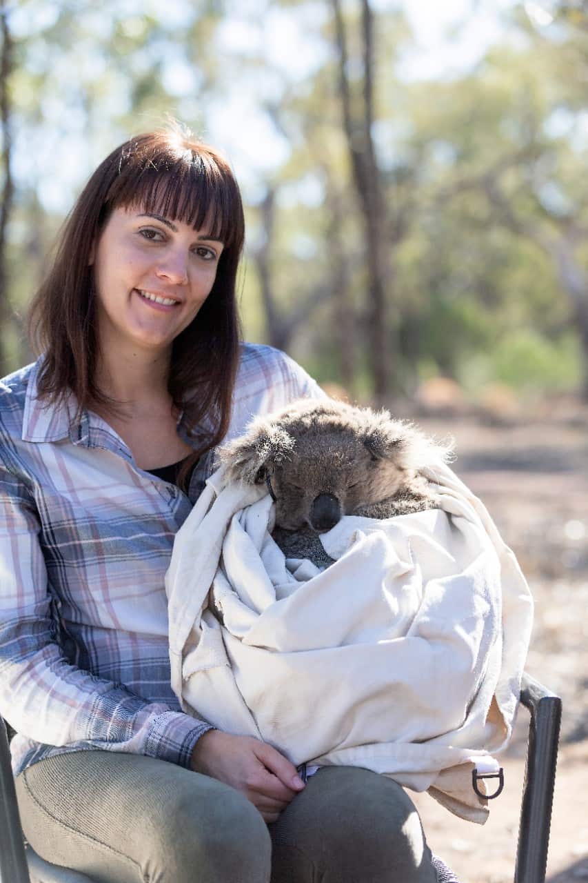 Dr Valentina Mella with koala joey in Gunnedah.
