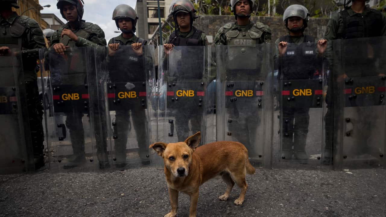 Members of the National Bolivarian Guard are deployed as several people participate in a hunger strike in Caracas on 6 June 2019.