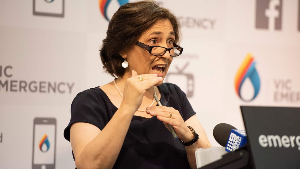 Victorian Energy Minister Lily D'Ambrosio urges patience as the state grapples with power cuts.