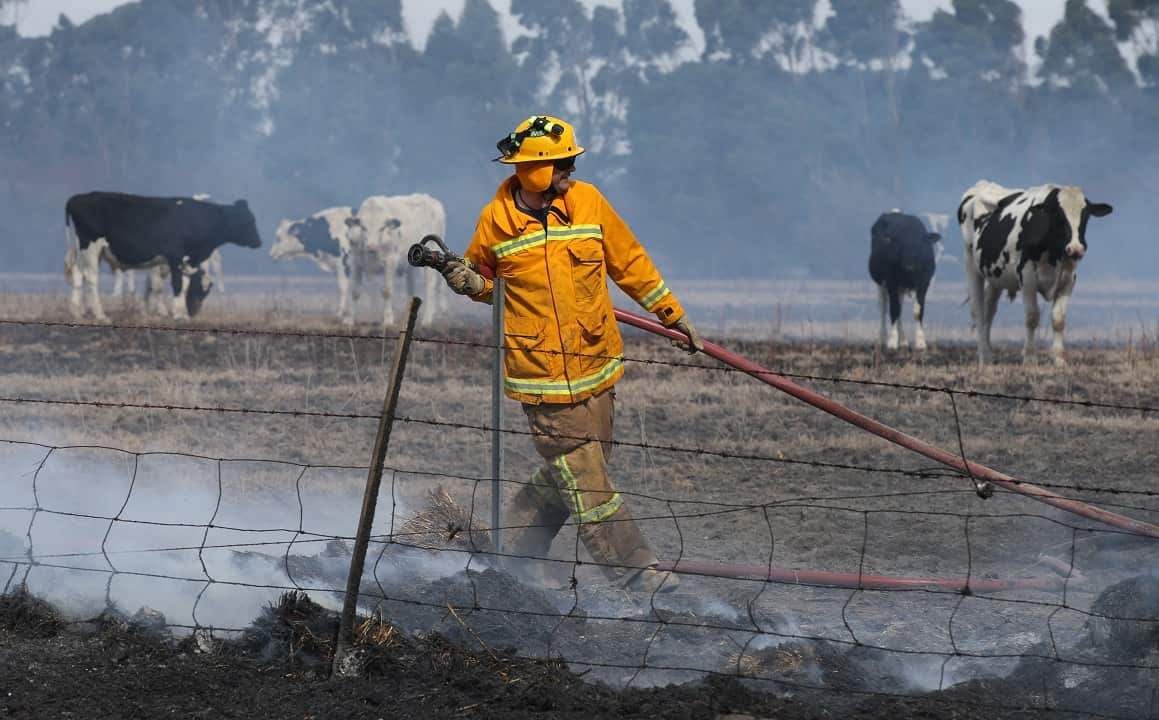 Fire fighters put out hot spots near Cobden.