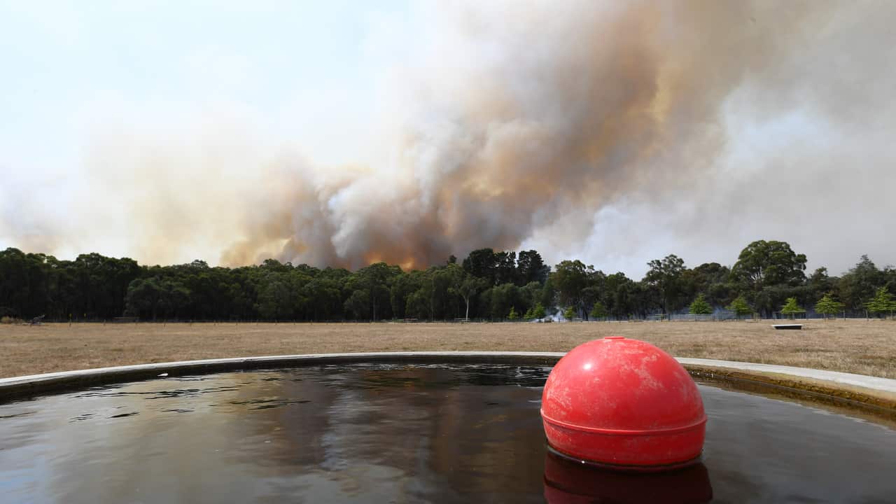 Smoke is seen in a tree line from a property in Gembrook, Victoria.