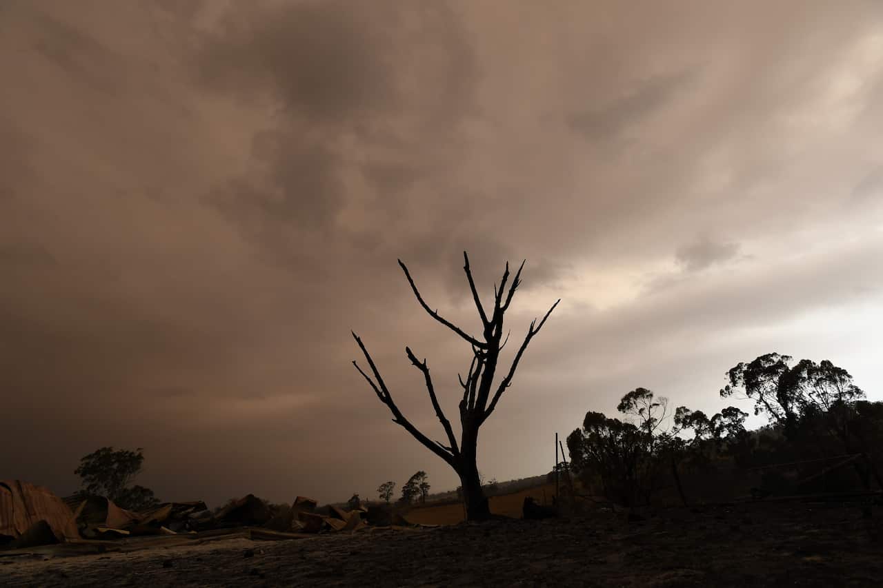 The BoM says rising temperatures and less rainfall is linked to increased bushfire risk.