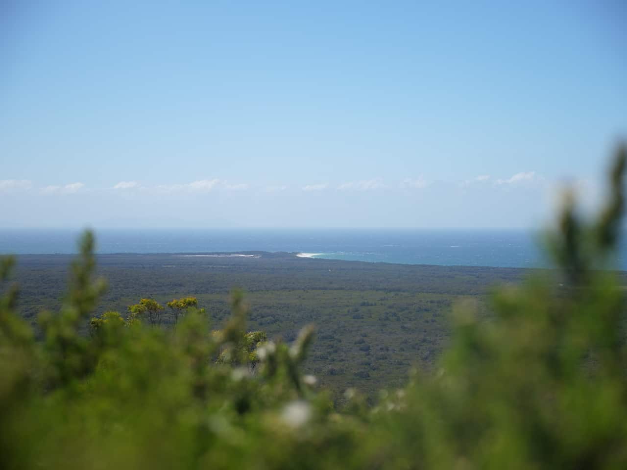 The view from on top of wukalina.