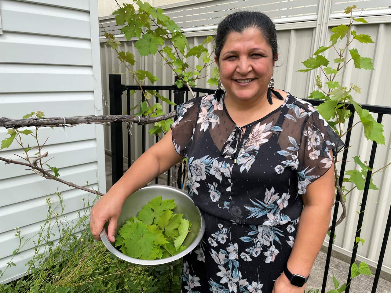 Sabeeha grows the vine leaves used in the Dolma at home in Coffs Harbour.