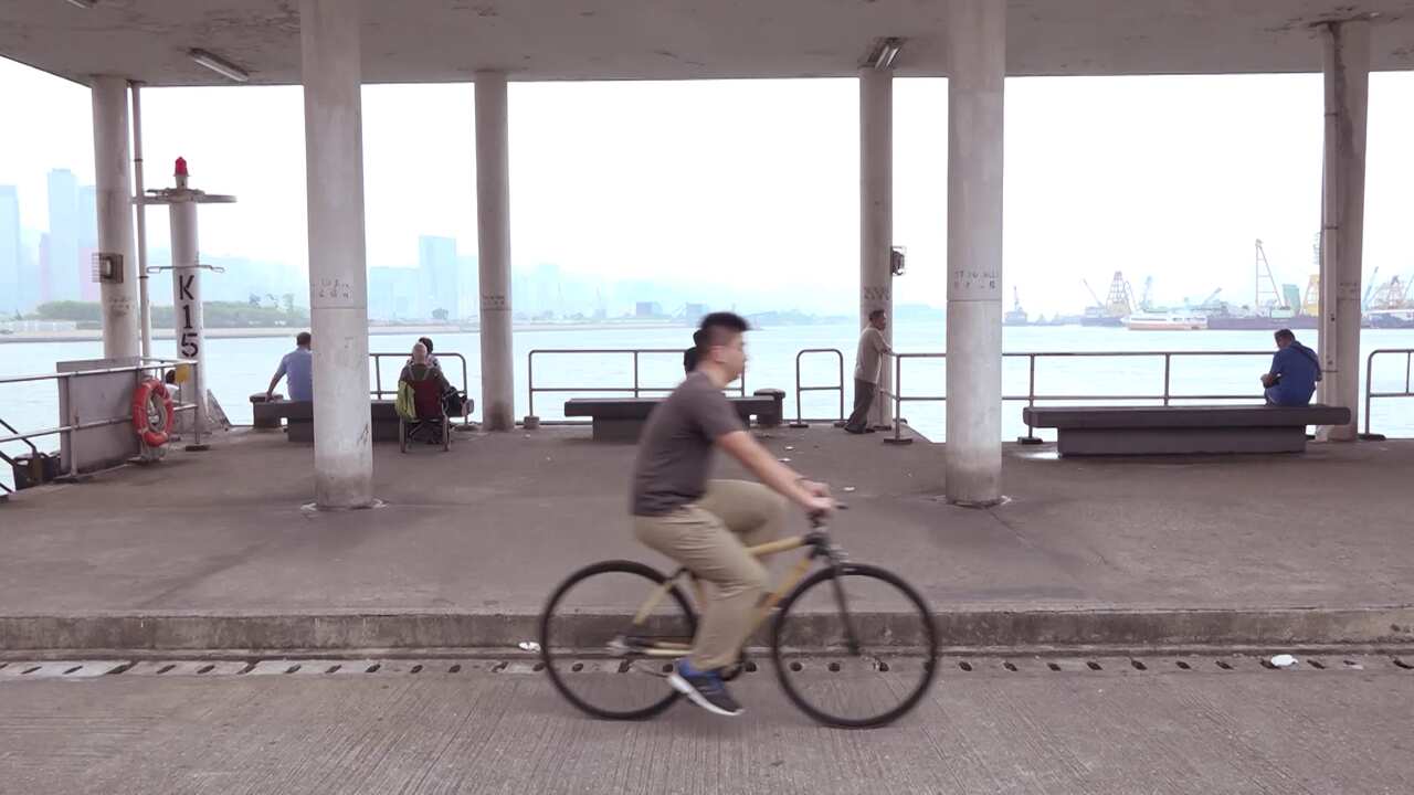 Bamboo bike