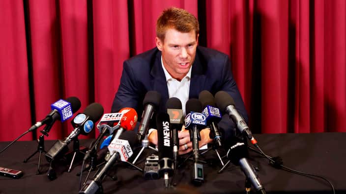 An investigation into the Australian cricket team's cheating scandal identified Warner as the instigator of the ball tampering plan.