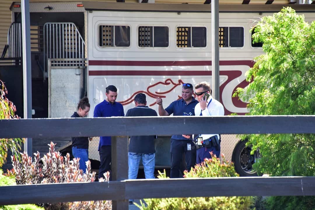 Police raid on Darren Weir Stables at Miners Rest in Victoria. 