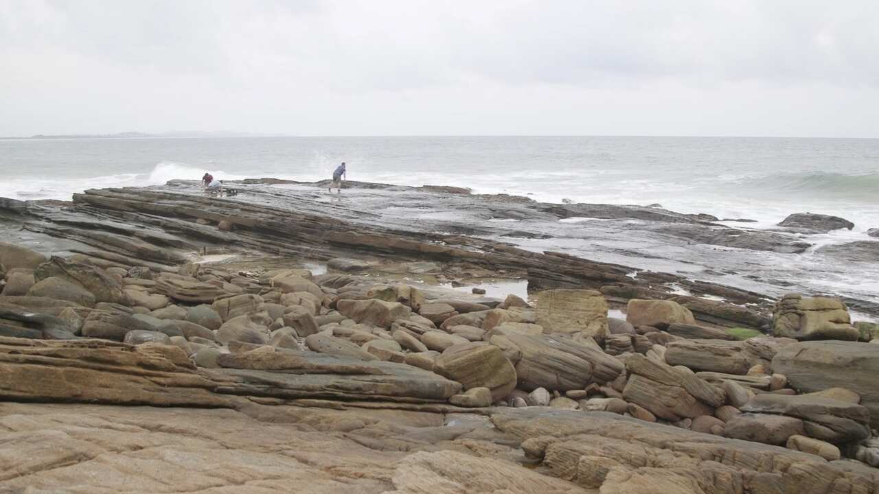 Nick, Zeb and Chris are combing the rock pools and harvesting seaweed.