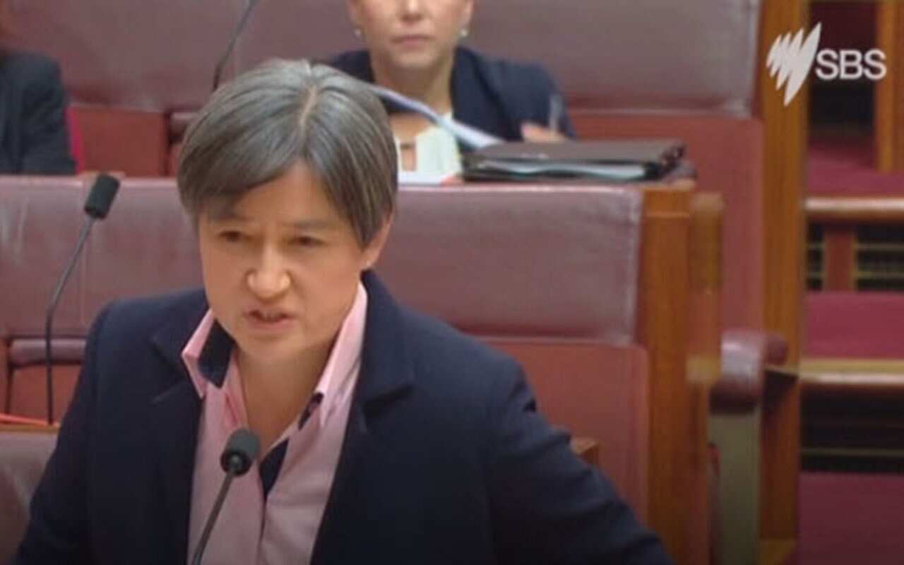 Senator Penny Wong didn't hold back in parliament on Wednesday. 
