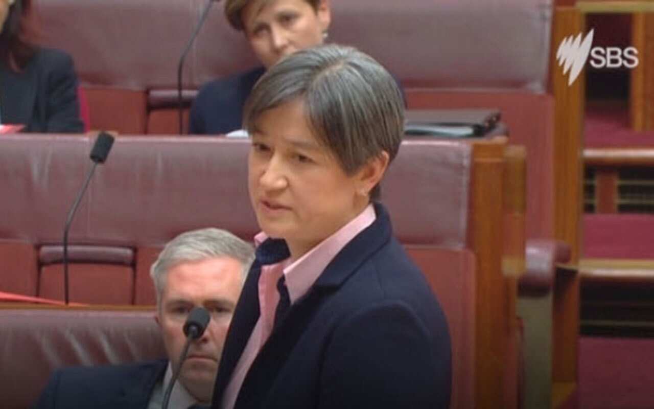 Wong urged Malcolm Turnbull to stand up and say 'that is wrong'. 