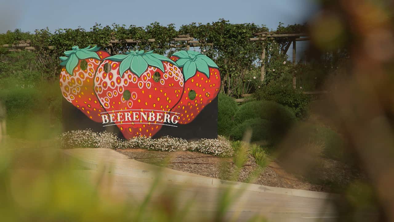 Beerenberg Farm has become a local tourist attraction.