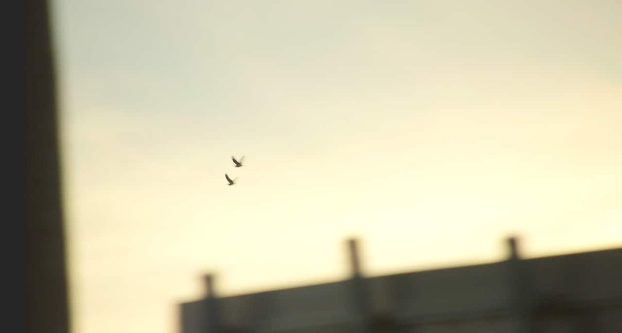 Nastasya Tay Yazidi feature