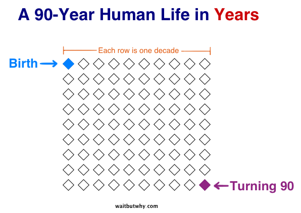 A 90-Year Human Life in Years