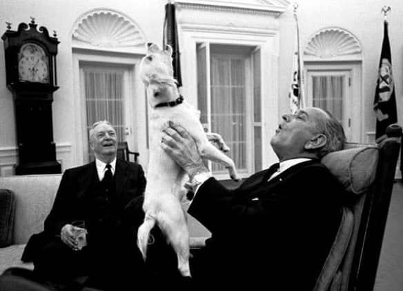 President LBJ with his dog Yuki.