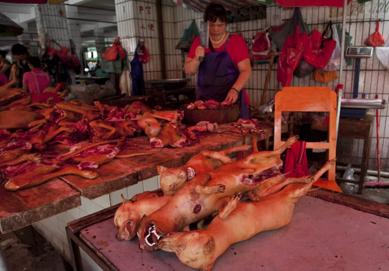This picture taken on June 17, 2015 shows a butcher preparing cuts of dog meat for sale in Yulin, in southern China's Guangxi province. (Getty)