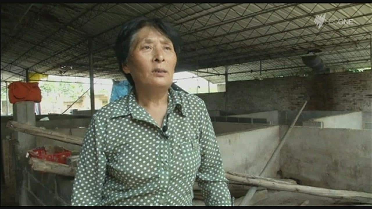 Animal rights campaigner Yang Xiaoyun 