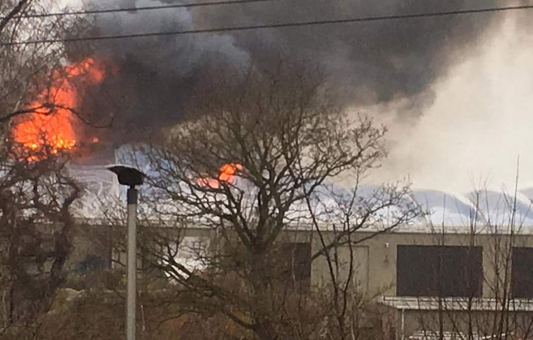 Zoo fire