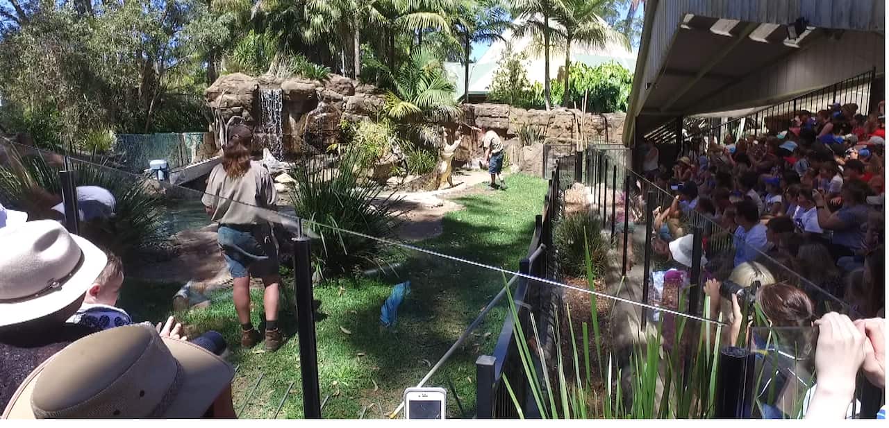The zoo conducts up to 17 free education sessions a day.