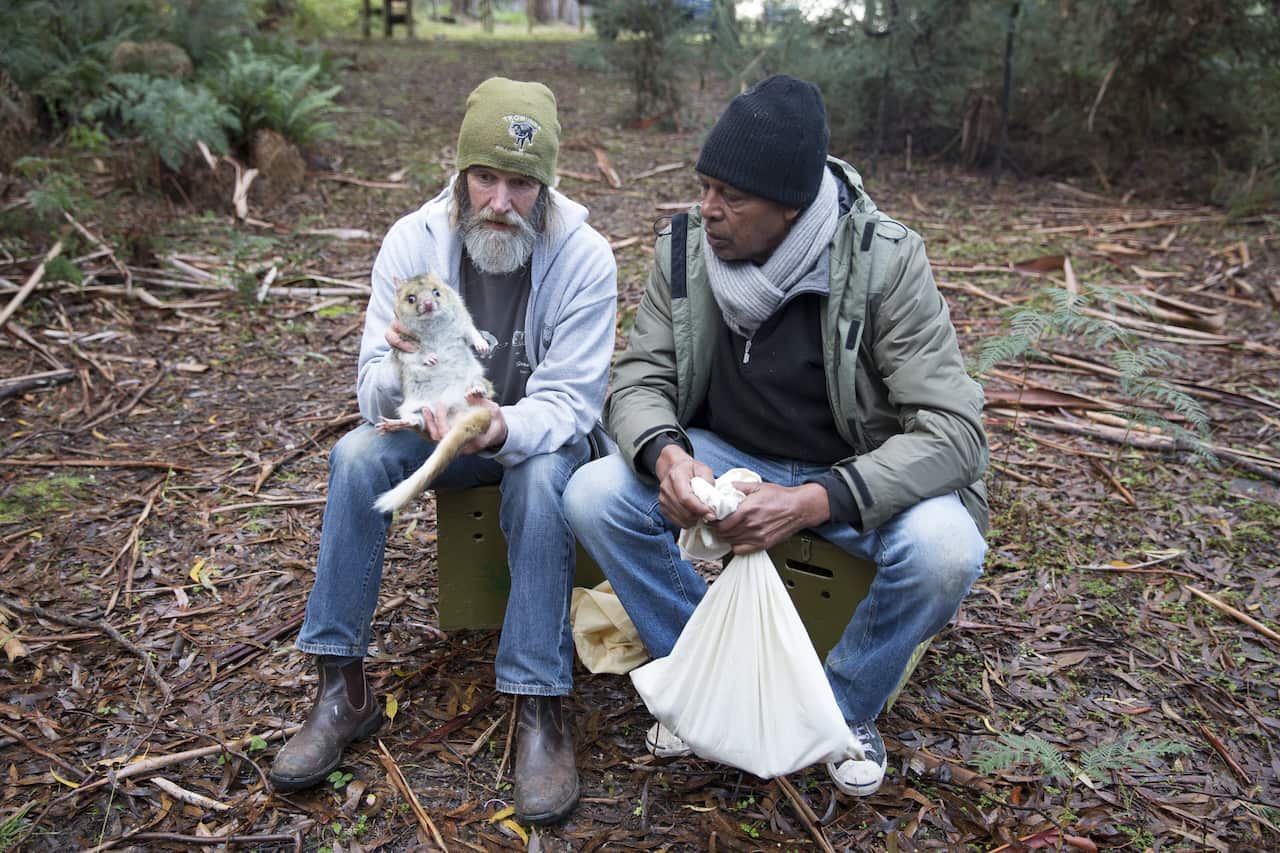 Going Places With Ernie Dingo