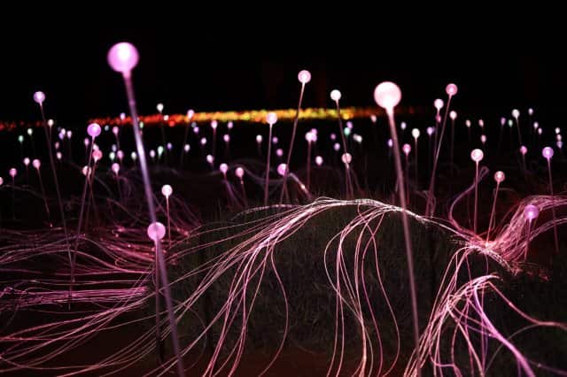 Field of Light, Uluru, Bruce Munro 2016.