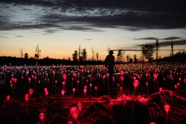 Field of Light, Uluru, Bruce Munro 2016.