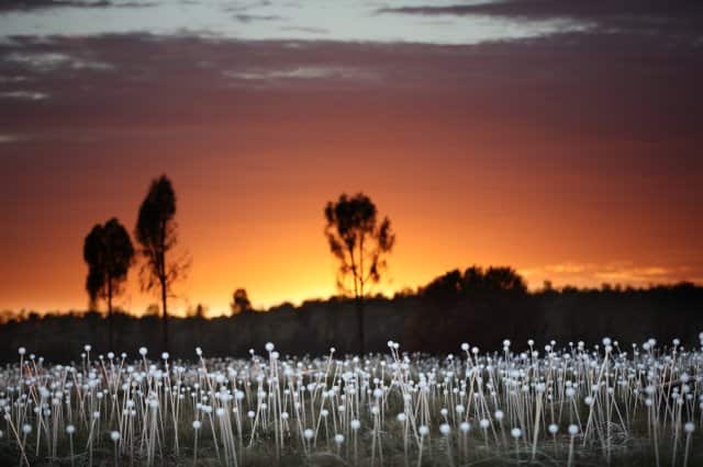 Field of Light, Uluru, Bruce Munro 2016.
