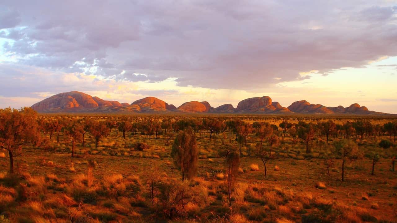 Sing About This Country