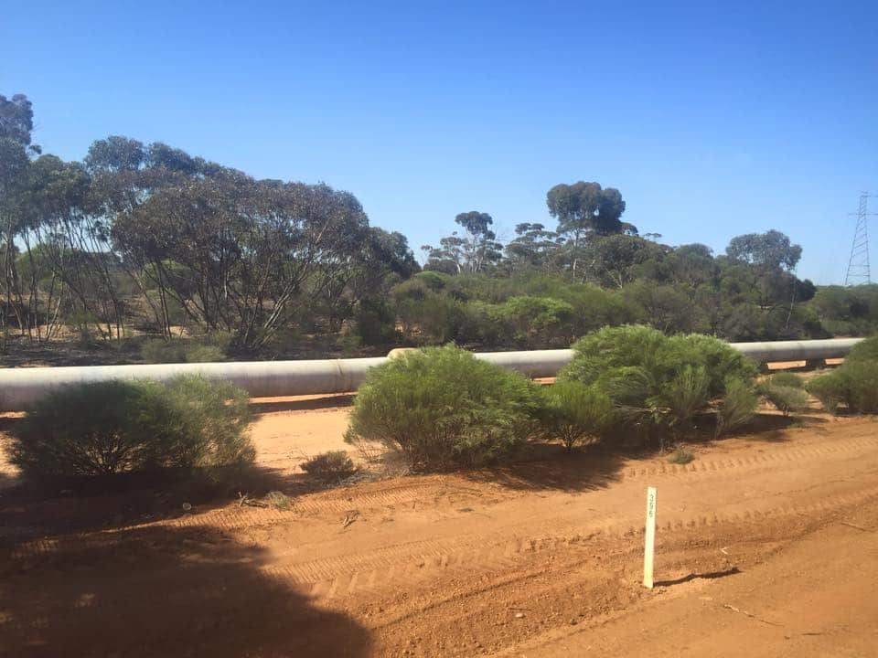 On the bus from Perth to Melbourne for the AFL Grand Final between the West Coast Eagles and Hawthorn on Saturday (NITV)
