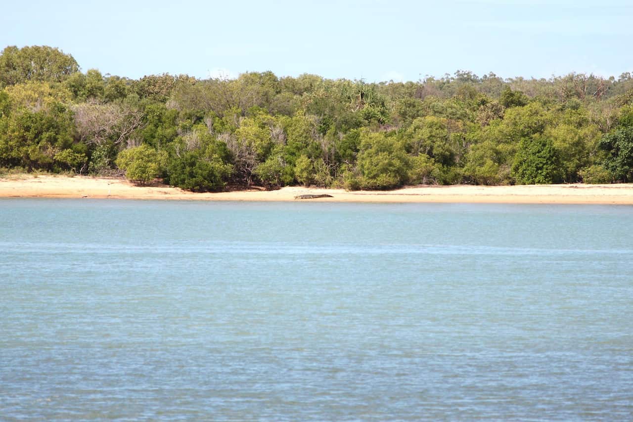 This photo was taken about 400 metres away from a crocodile causing concern for residents at Mornington and Denham islands.