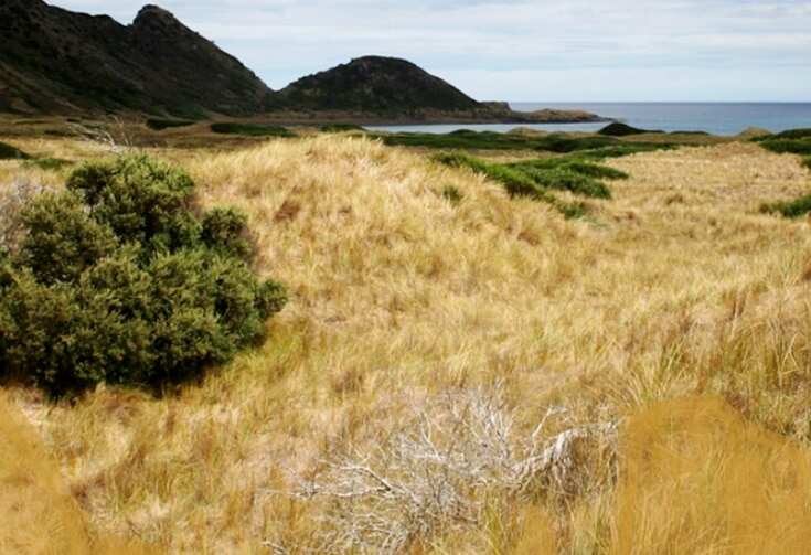 Preminghana in Tasmania's north-west is a place of significance for Tasmanian Aboriginal people.