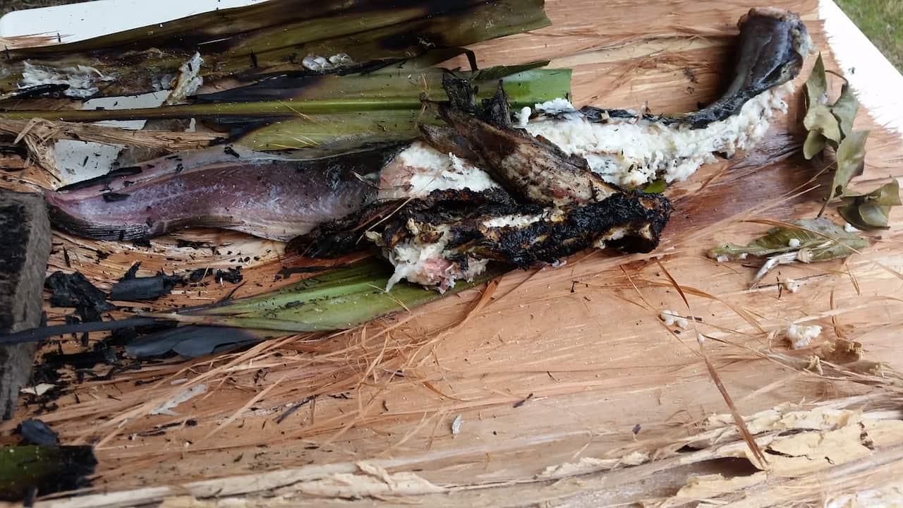 Eel is prepared for eating.