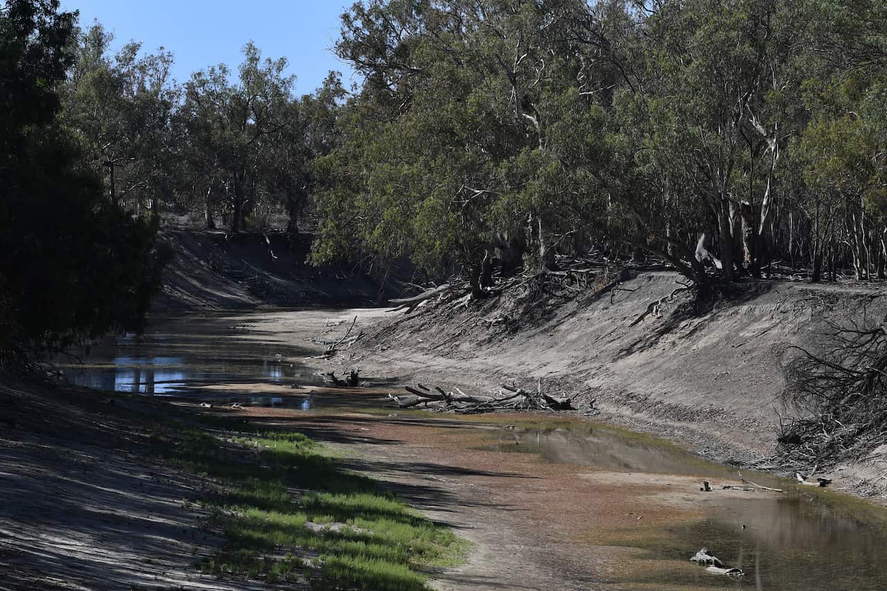 The dry river bed of the Darling River near Pooncarie, Thursday, February 14, 2019.