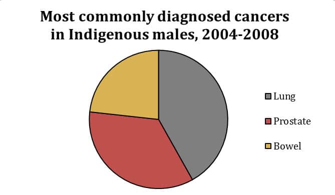 Source: Australian Institute of Health and Welfare & Cancer Australia 2013. Cancer in Aboriginal and Torres Strait Islander peoples of Australia: an overview. 