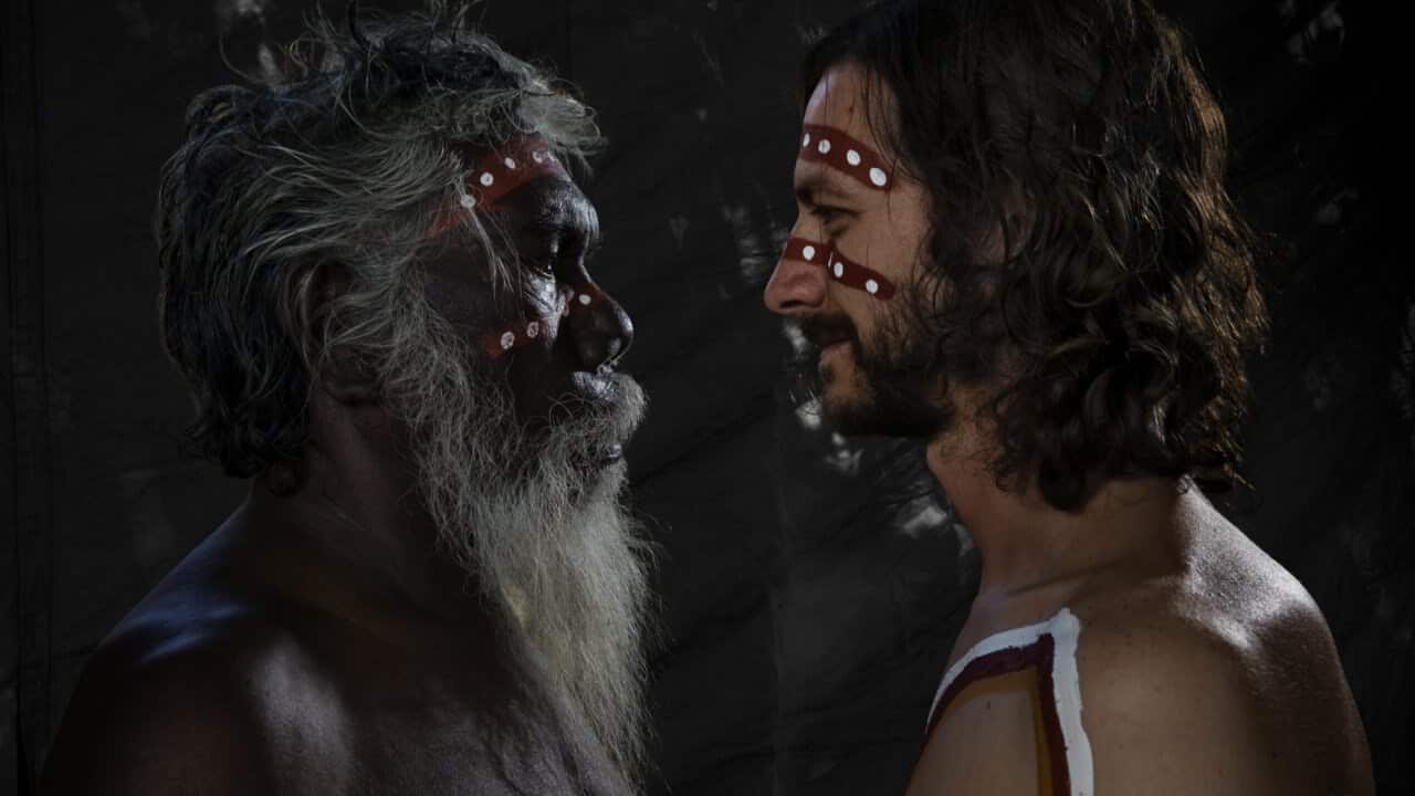 Westwind: Djalu's Legacy