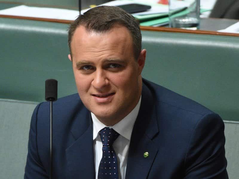 Liberal MP Tim Wilson