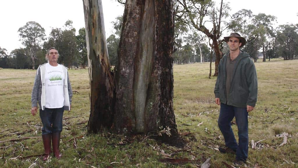 Bankstown Bushland Society environmentalists on the site.
