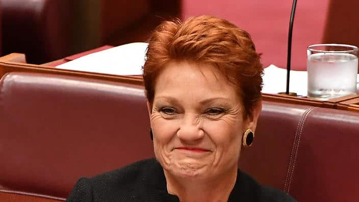 One Nation leader Senator Pauline Hanson during Senate Question Time at Parliament House in Canberra