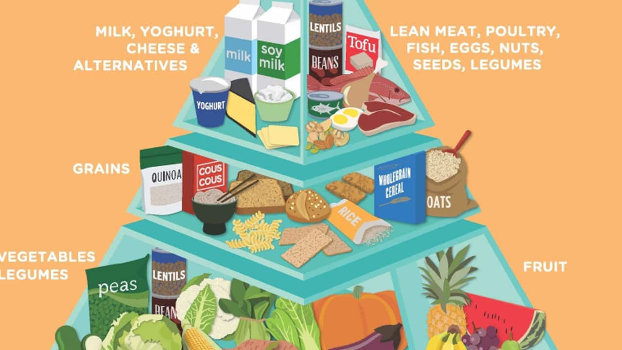food pyramid