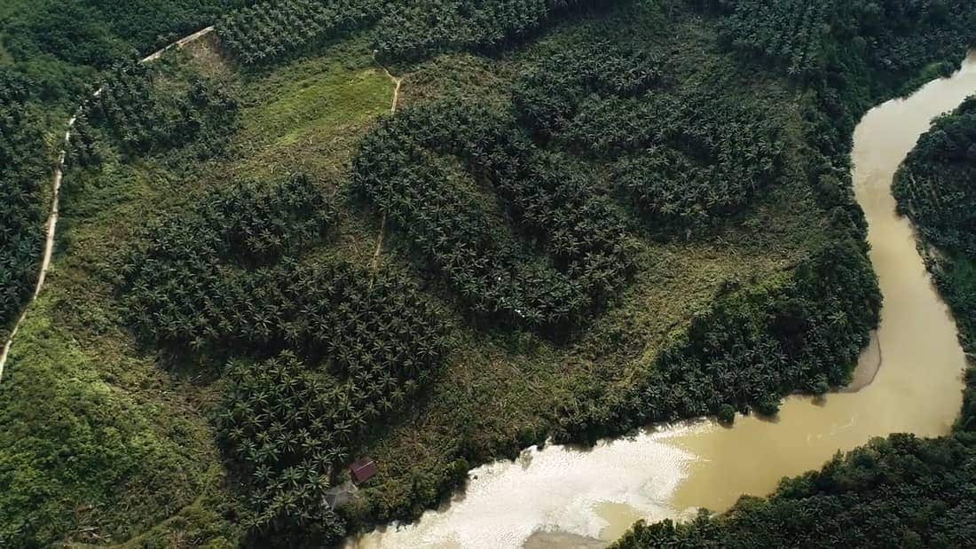 Ernest Zacharevic has created a giant SOS in Sumatra. 