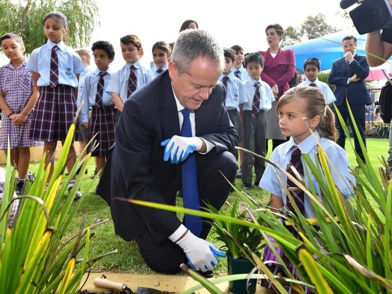 Bill Shorten planting a Kangaroo Paw plant with at a school in Perth.