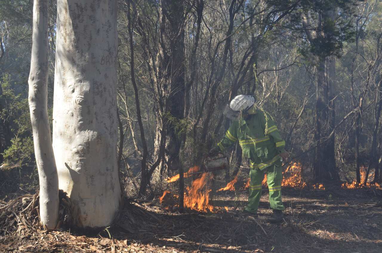 All-women controlled burn