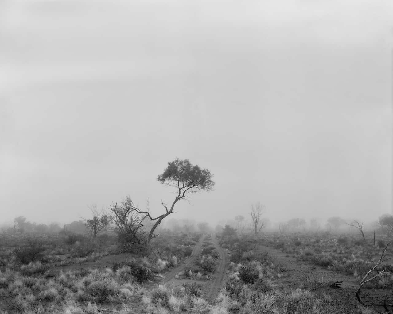 Emu Fields atomic testing