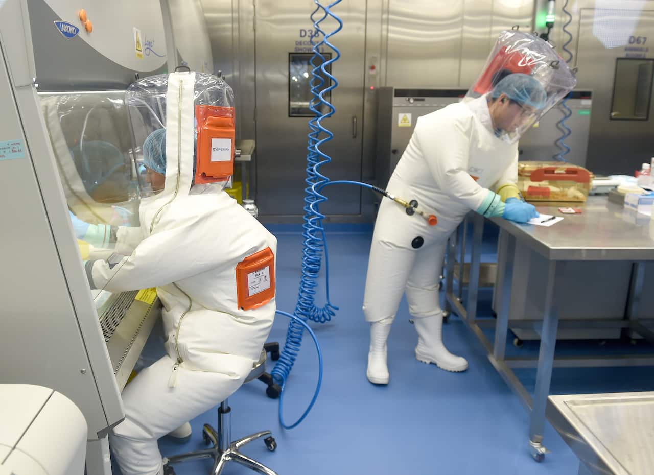 Researchers work in a lab of Wuhan Institute of Virology