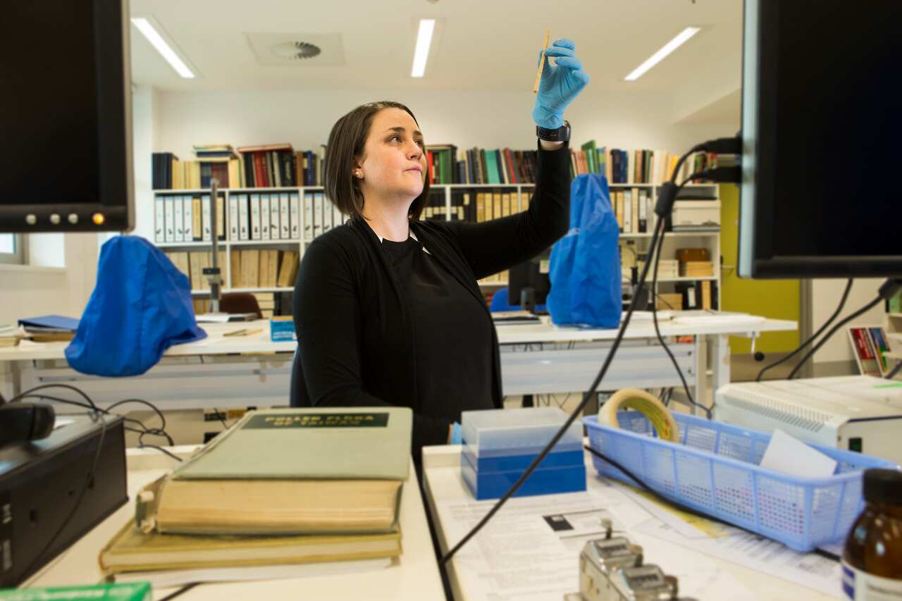 Dr Michelle Langley holding the artifact in her lab. 