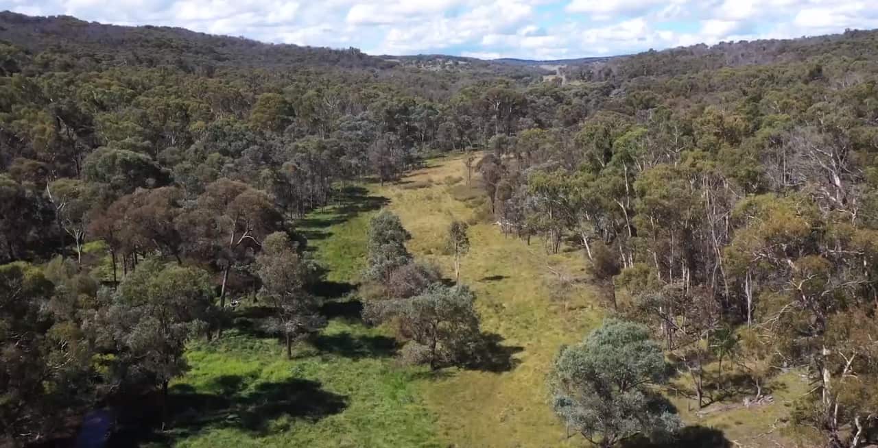 The newly purchased block of Anaiwan Country