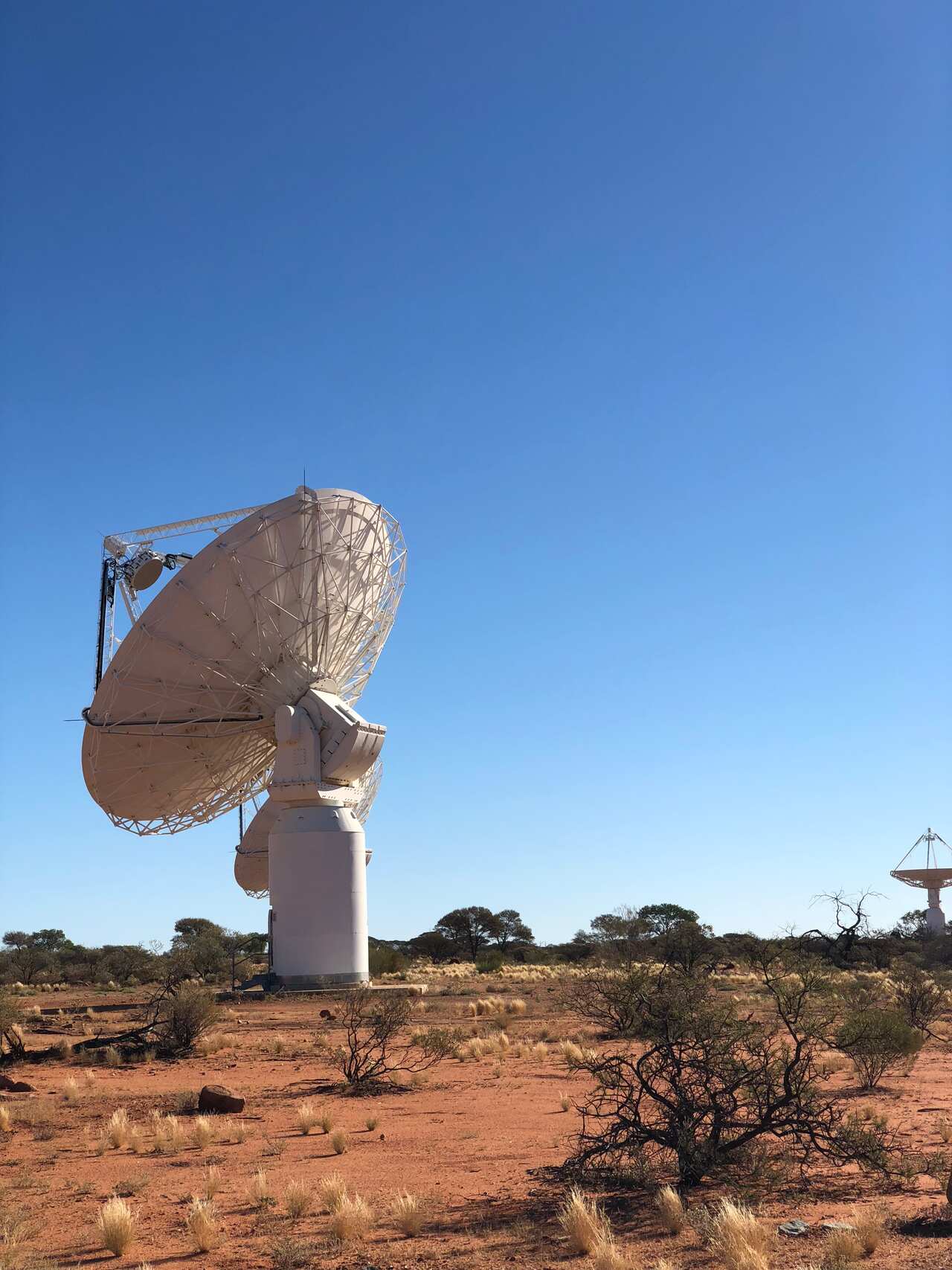 Our own Australian Square Kilometre Array Pathfinder (ASKAP) has 36 dish antennas, each 12m in diameter. 