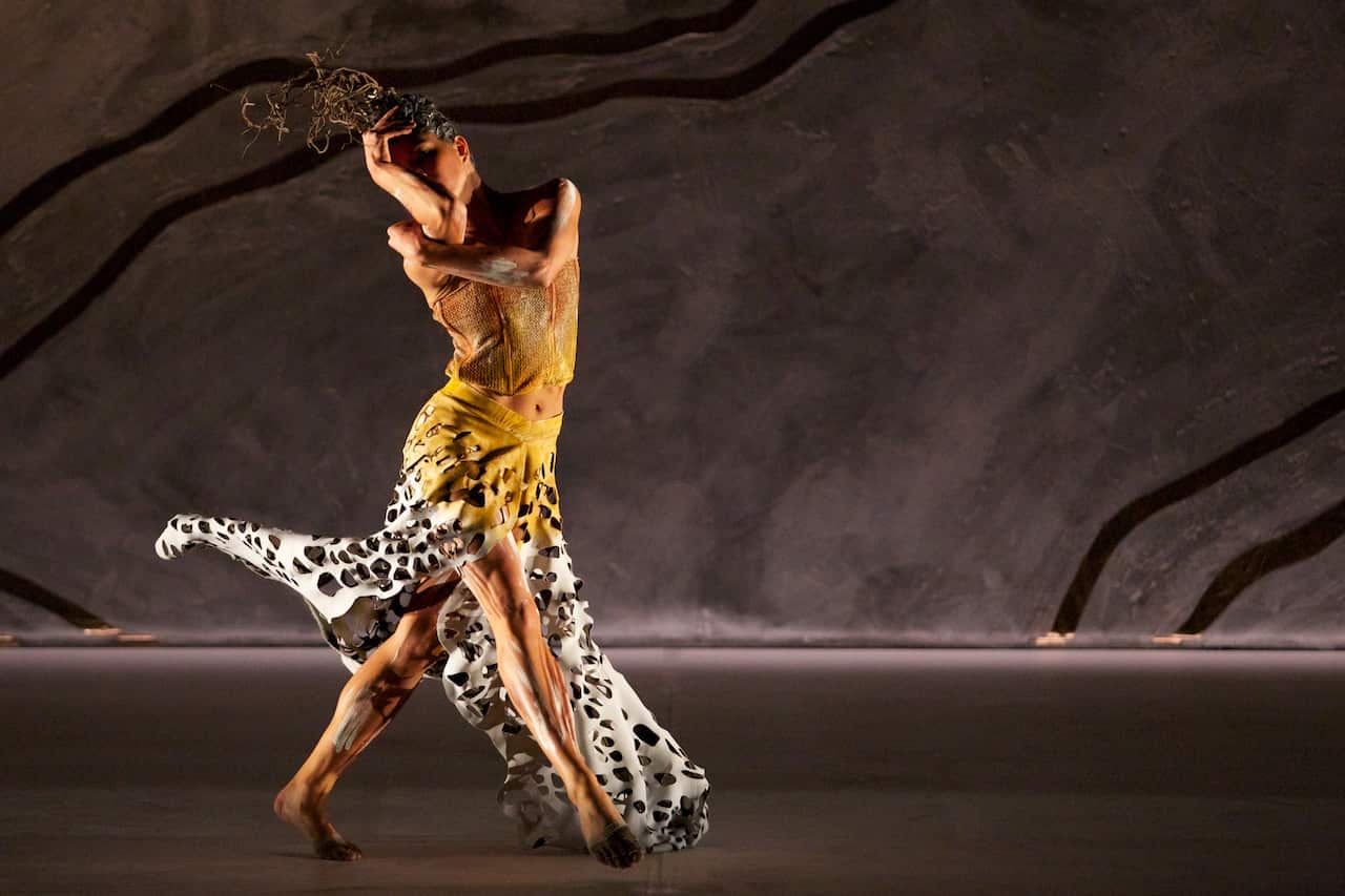 Bangarra Terrain performance