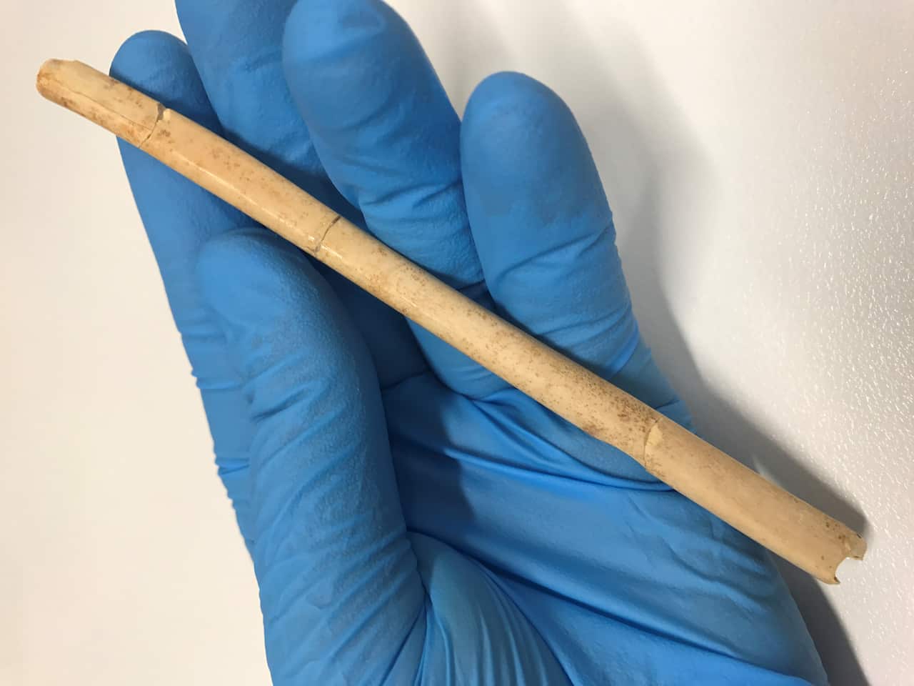 Kangaroo bone point. 