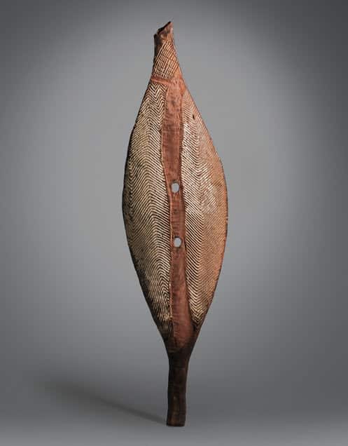 A Broad Shield, from Lower Murray River