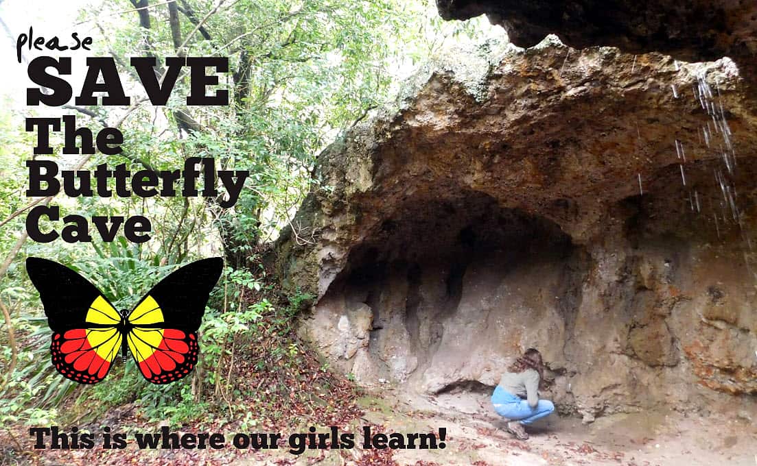 Butterfly Cave